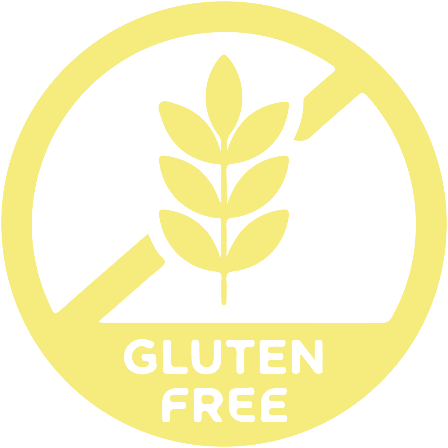Pack degustacion Sin gluten