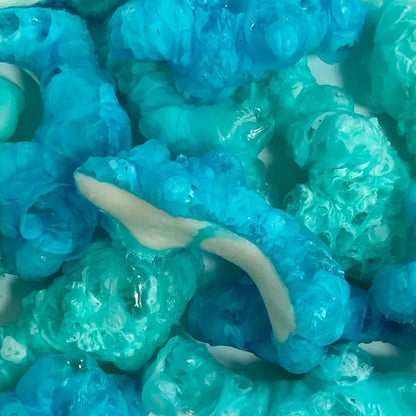 Tiburones Liofilizados